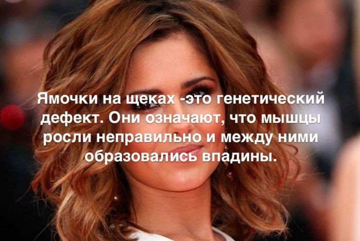Интересные факты