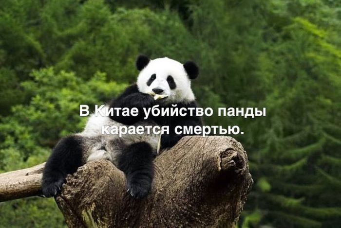 Интересные факты