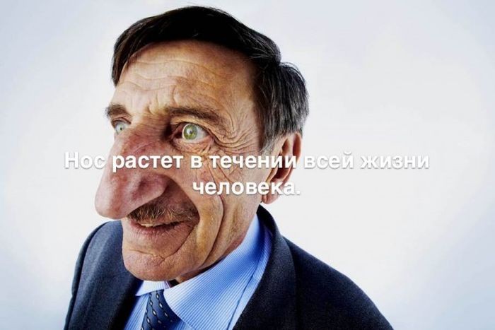 Интересные факты