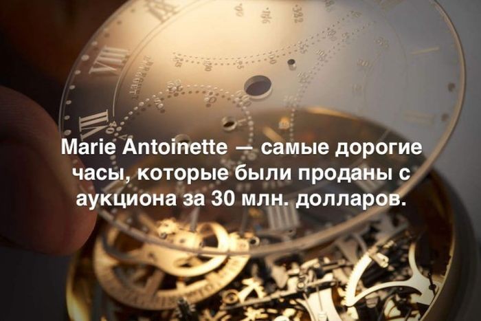 Интересные факты