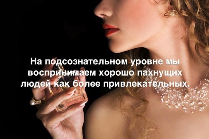 Интересные факты