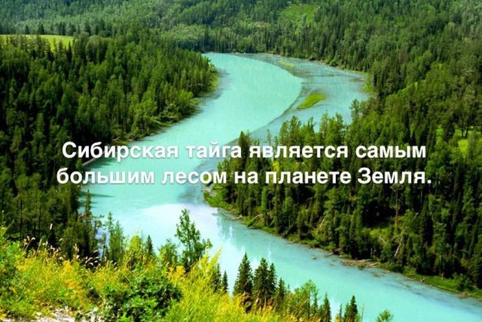 Интересные факты