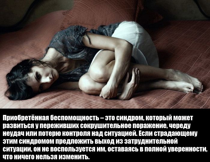 Интересные факты