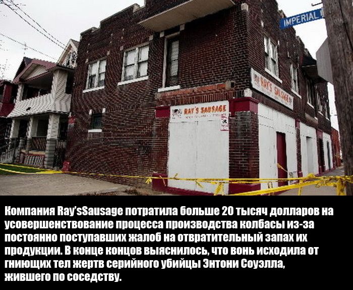 Интересные факты