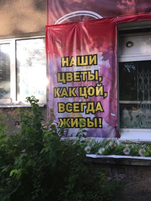 Смешные объявления и вывески