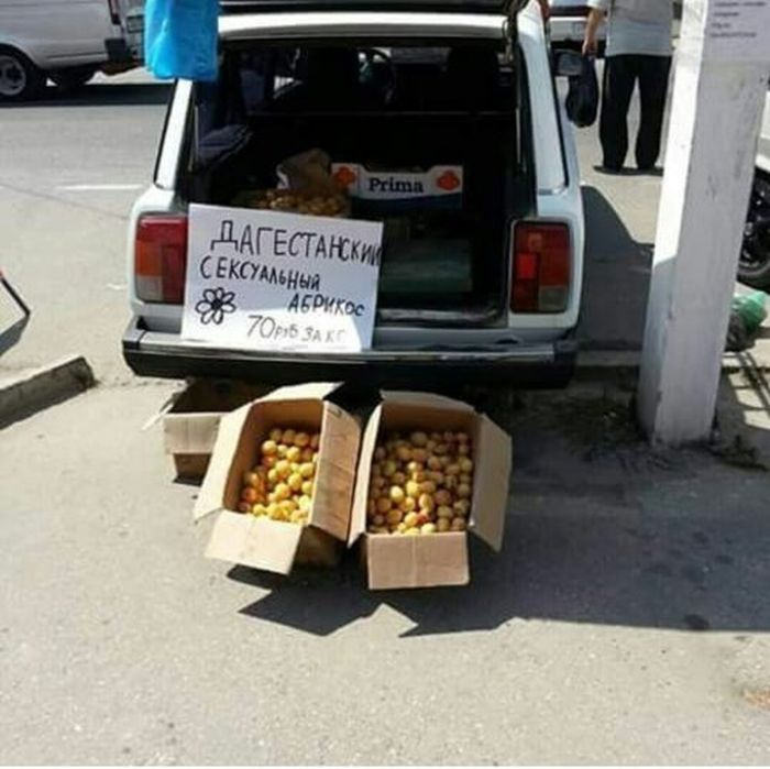 Смешные объявления и вывески