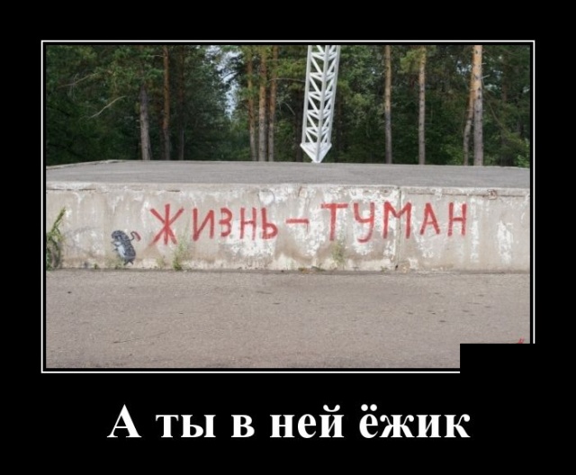 Демотиваторы