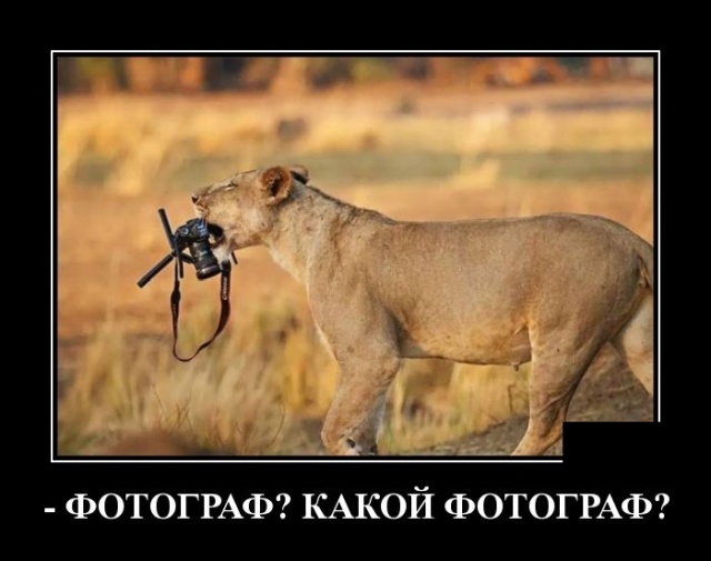 Демотиваторы