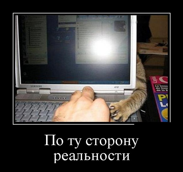 Демотиваторы