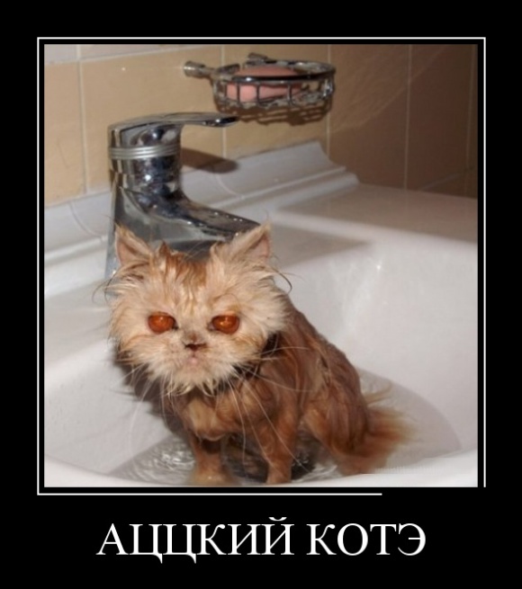 Демотиваторы
