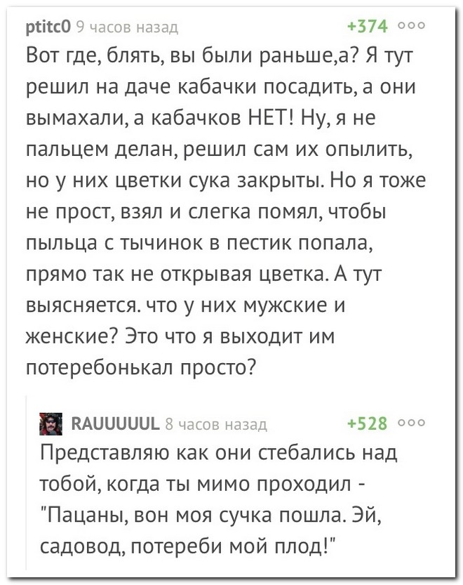 Забавные комментарии из социальных сетей
