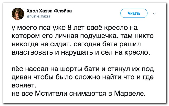 Забавные комментарии из социальных сетей