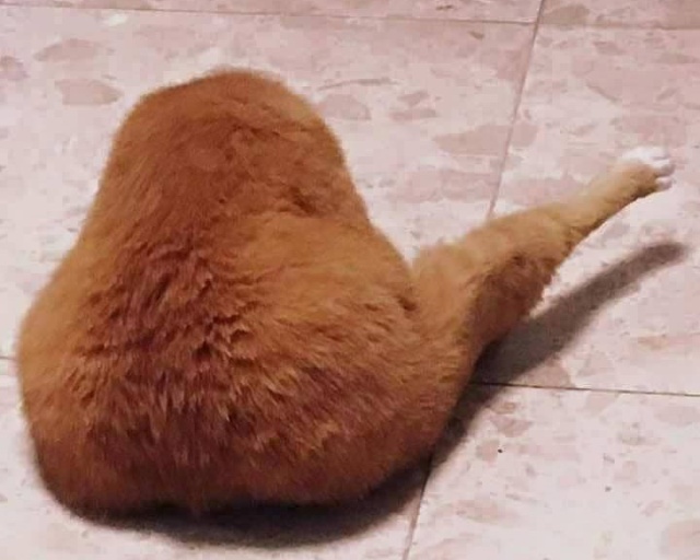 Предметы, которые очень похожи на еду, но их нельзя съесть