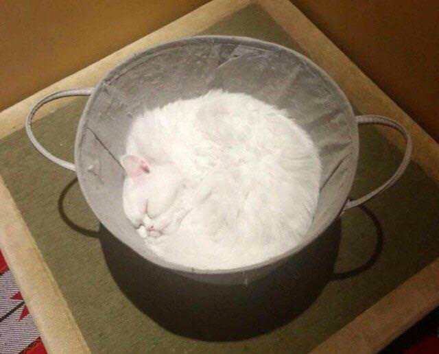 Предметы, которые очень похожи на еду, но их нельзя съесть