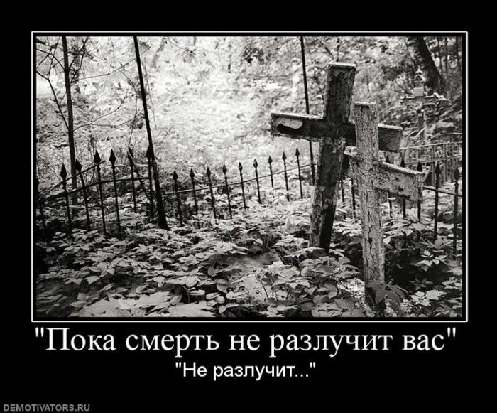 Демотиваторы (72 фото)