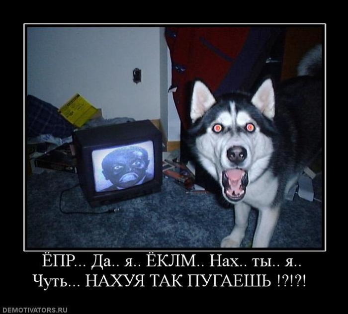 Демотиваторы (72 фото)