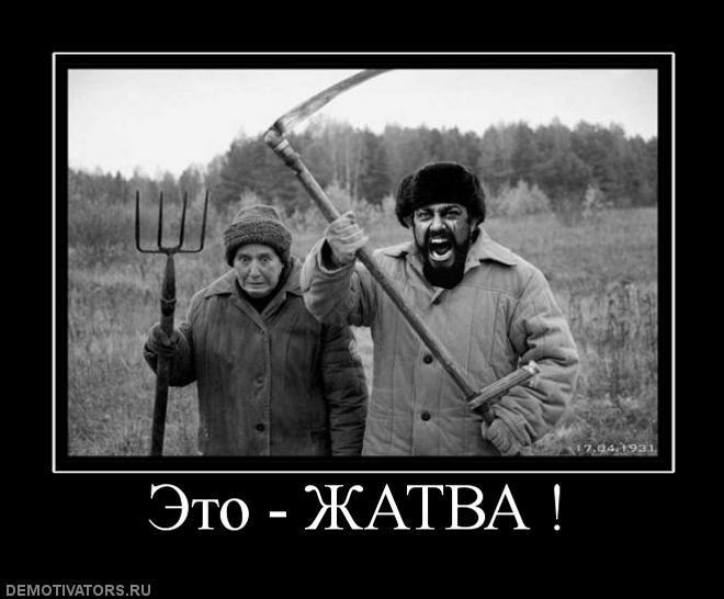 Демотиваторы (72 фото)