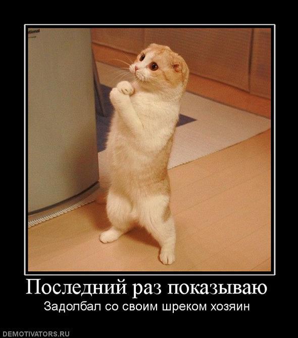 Демотиваторы (72 фото)