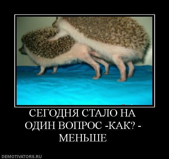 Демотиваторы (72 фото)