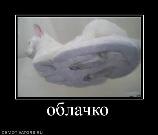 Демотиваторы (72 фото)