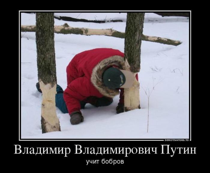 Демотиваторы (72 фото)