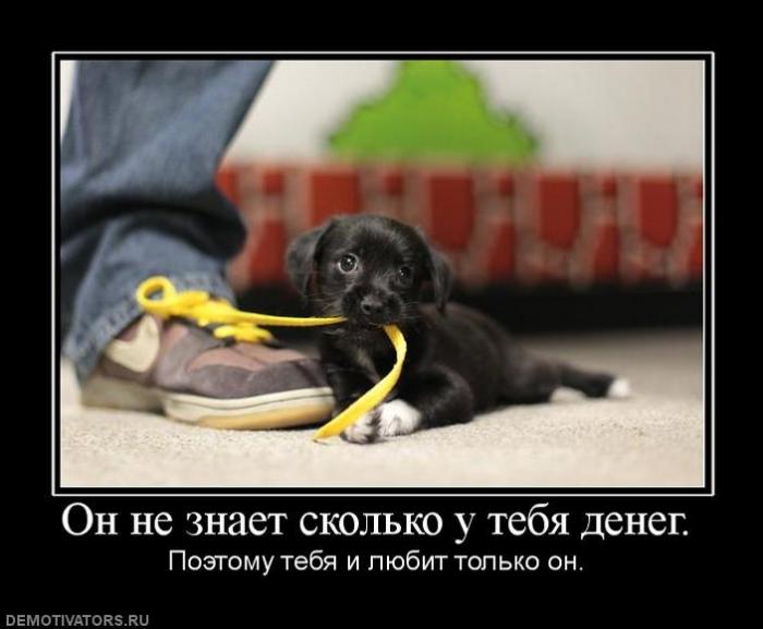Демотиваторы (72 фото)