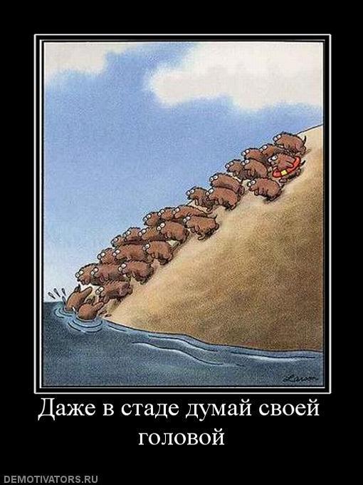 Демотиваторы (72 фото)