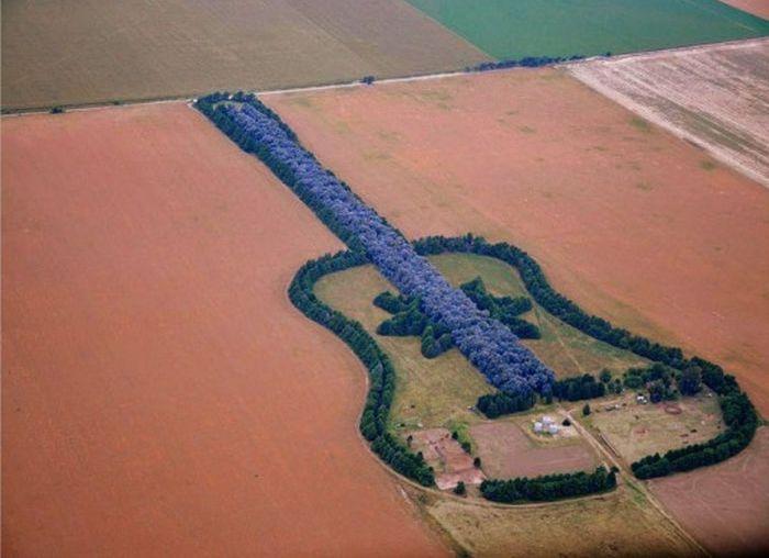 Прикольные картинки (47 фото)