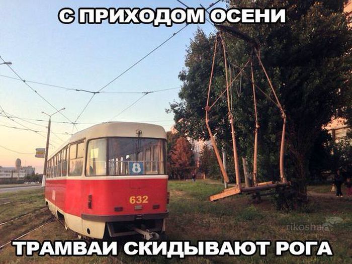 Порция картинок
