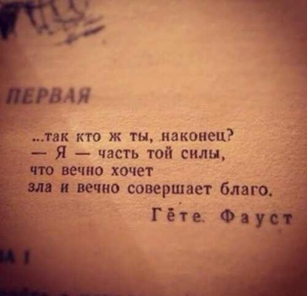 Порция картинок