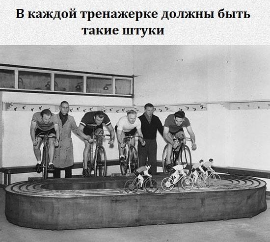 Порция картинок