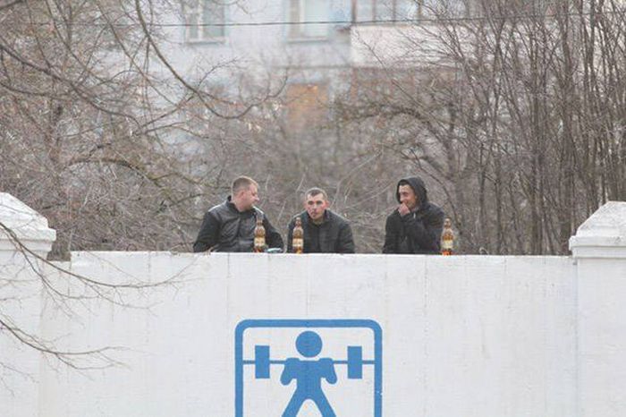 Порция картинок