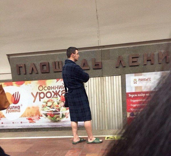 Порция картинок