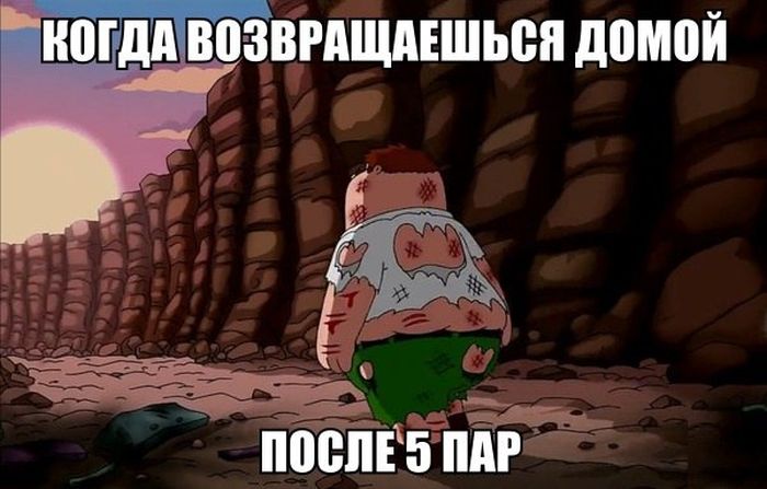 Порция картинок