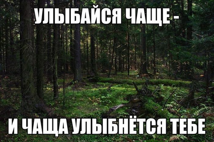 Порция картинок