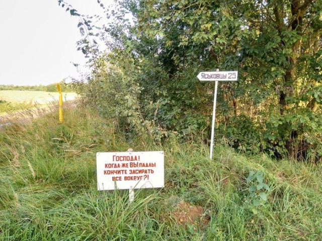 Прикольные картинки