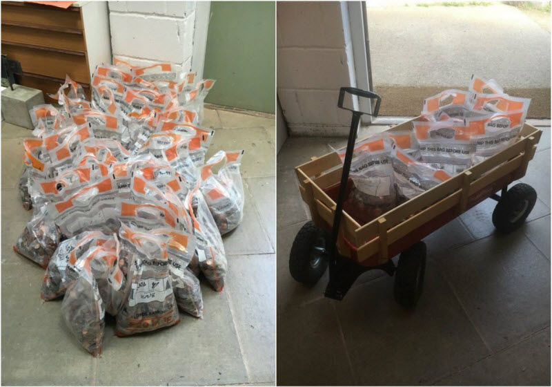 Художник оставила 100 000 монет в старом фонтане и через 24 часа они исчезли