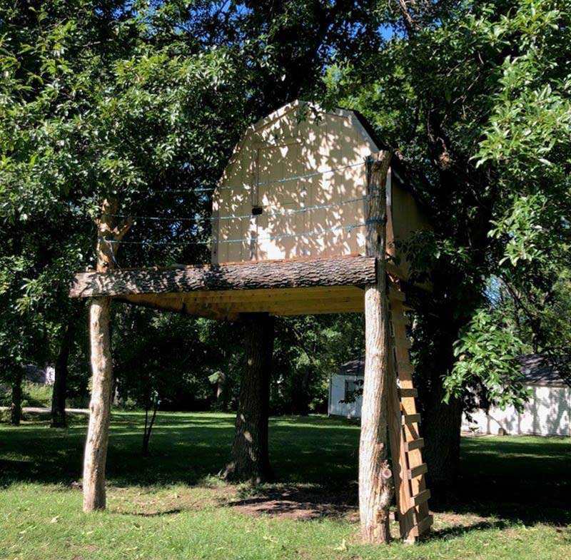 Мальчик проткнул голову шампуром и выжил Мальчик проткнул голову шампуром и выжил