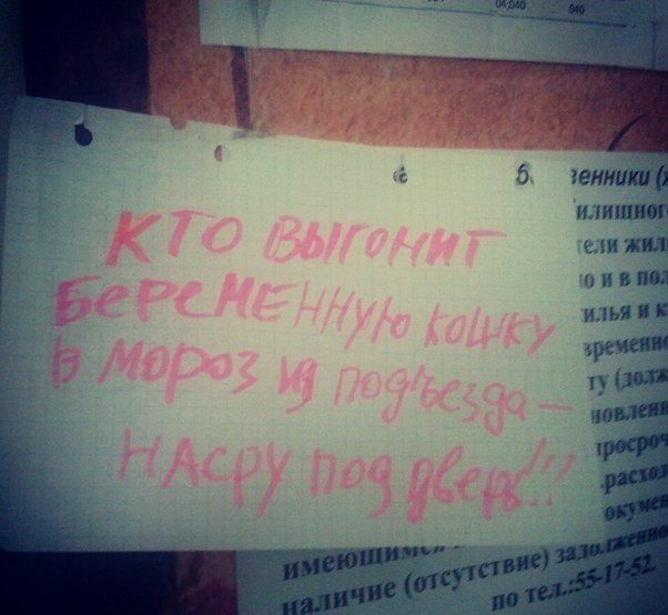 Народные маразмы
