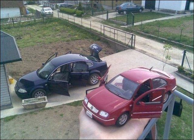 Прикольные картинки
