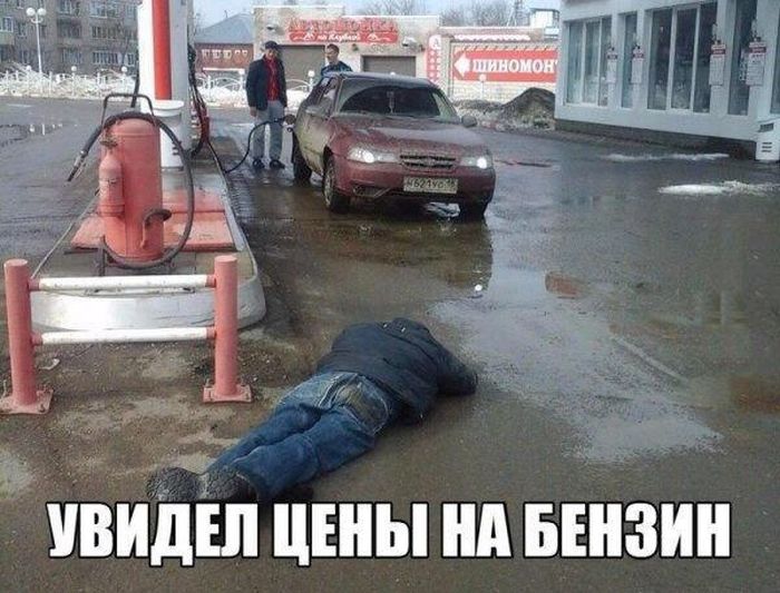 Порция картинок