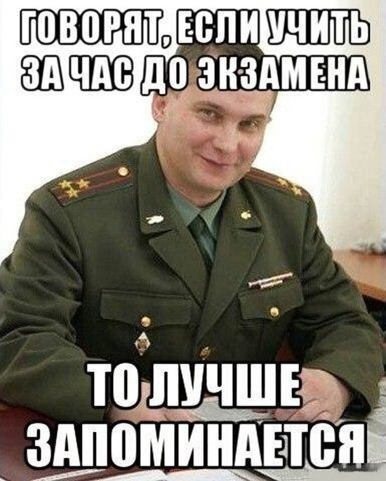 Порция картинок