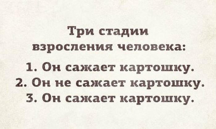Порция картинок