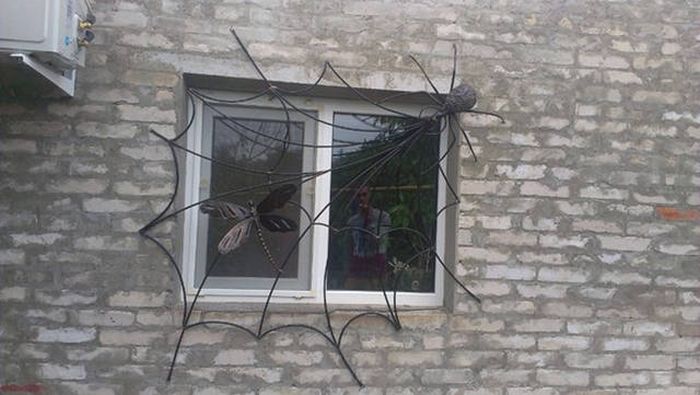 Порция картинок