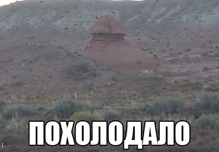 Порция картинок
