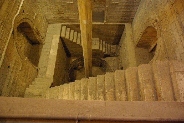 Чего достигли ученые в прошлом веке