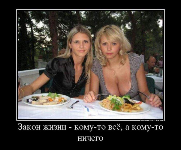 Демотиваторы