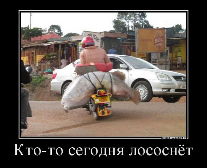 Демотиваторы