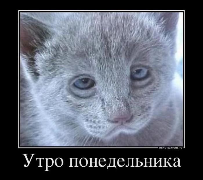 Демотиваторы