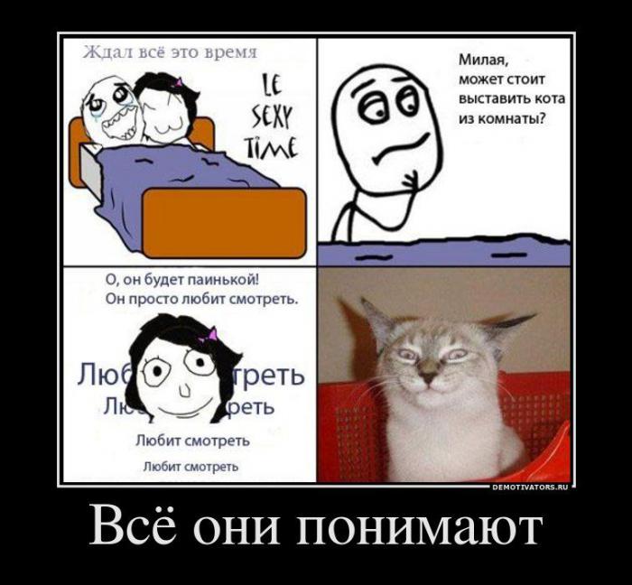 Демотиваторы